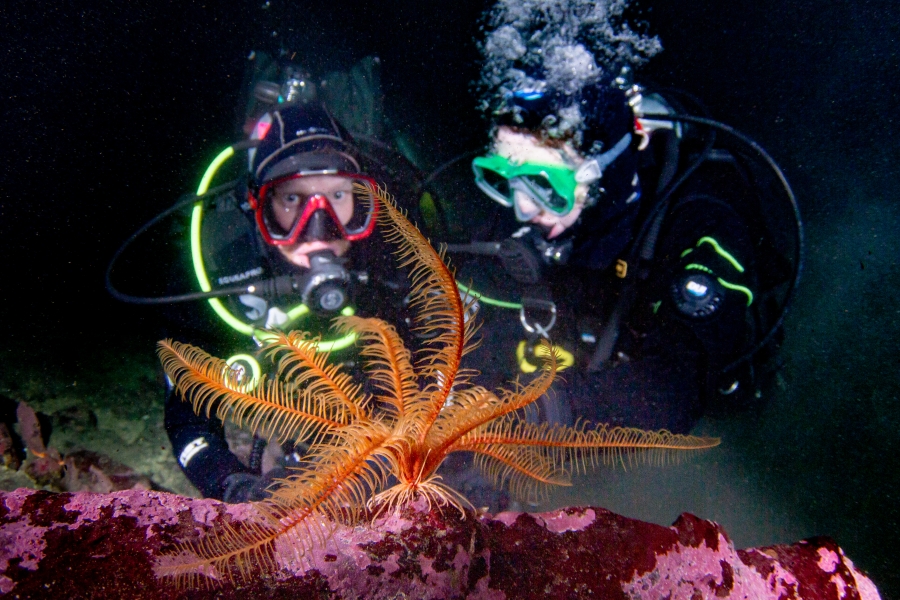 Scuba diving at the Sitka Sound Science Center