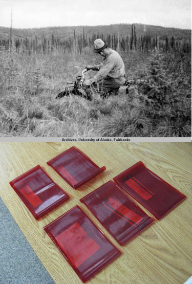 An archival black and white image of a man on a motorbike in a field, and 5 red squares that look like fruit roll ups