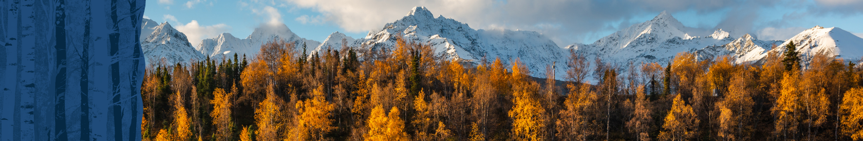 Fall colors in the Matanuska Valley, northeast of Anchorage