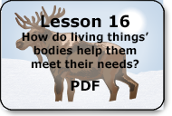 how do living things' bodies help them meet their needs