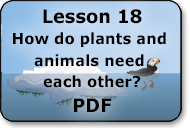how do plants and animals need each other