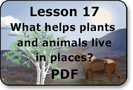 what helps plants and animals live in places