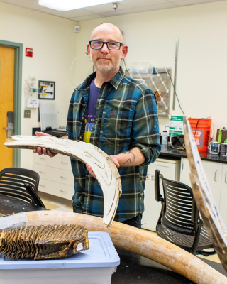 Matt Wooller holds a Woolly Mammoth tusk in Isotope lab on the UAF campus