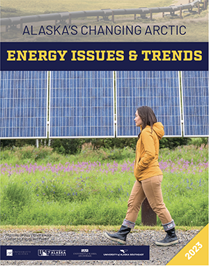 Cover of Energy Issues and Trends report with woman walking in front of a solar panel array