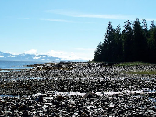 photo of a shoreline property in Southeast Alaska in summer