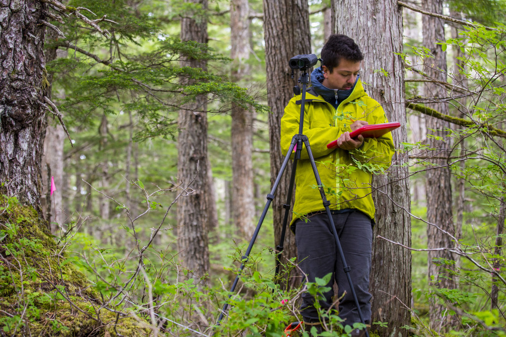 Student conducting field survey in a forest