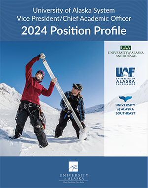 Cover of VP Chief Academic Officer Profile