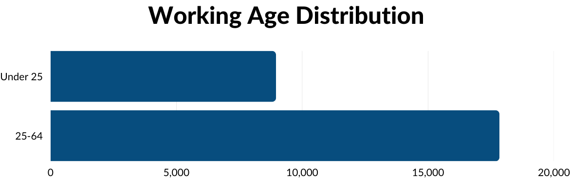 Aggregate Working Age