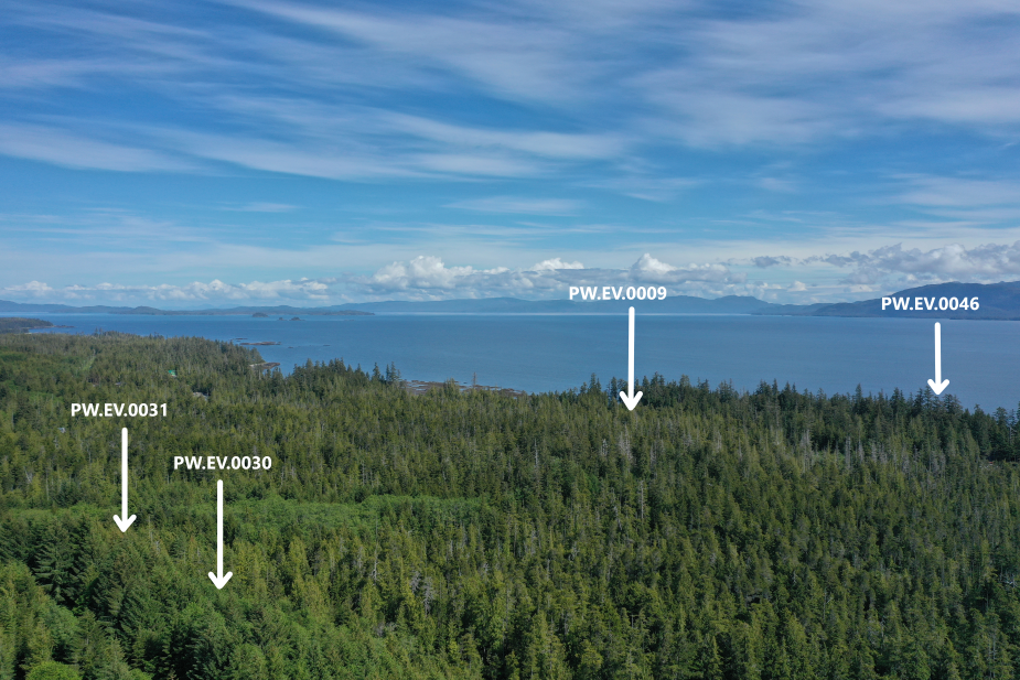 Etolin View Subdivision Partial Overview