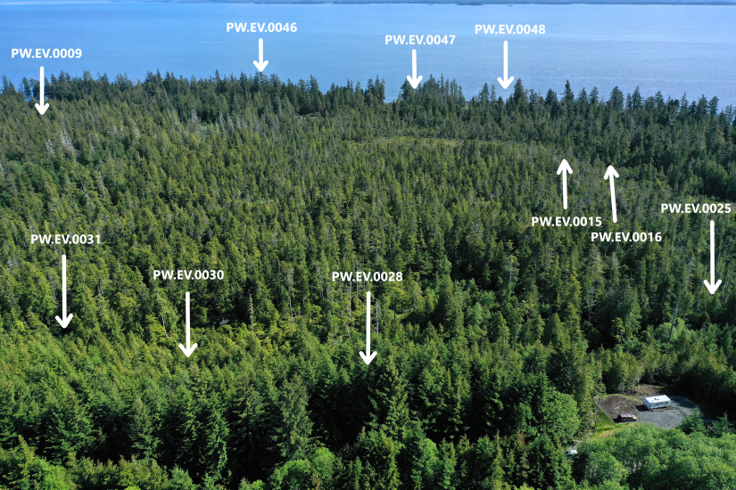 Etolin View Subdivision Overview