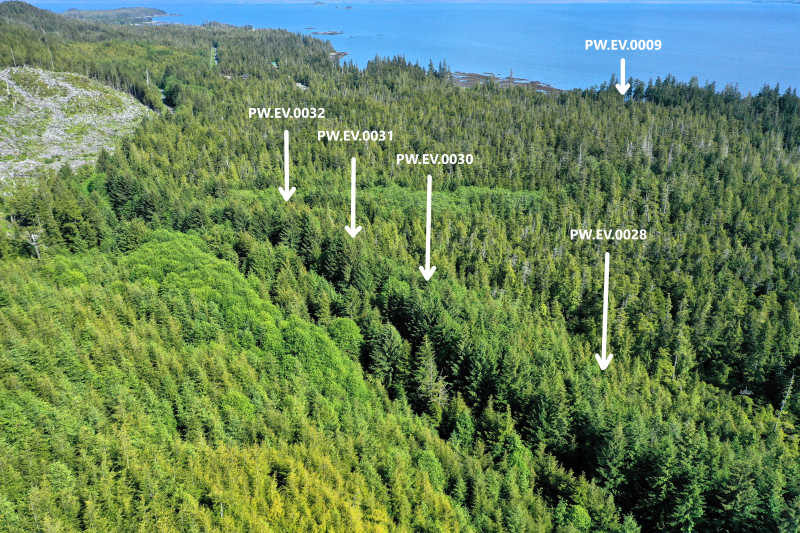 Overview of PW.EV.0030-32 and PW.EV.0028