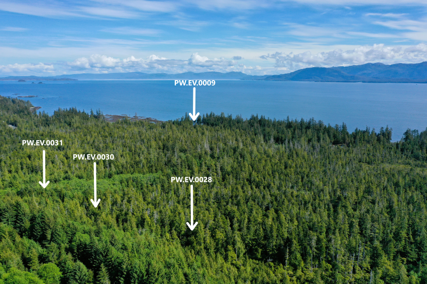 Overview of PW.EV.0030-31 and PW.EV.0028