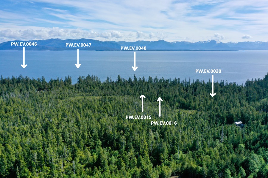 Overview of PW.EV.0015-16 and PW.EV.0046-48