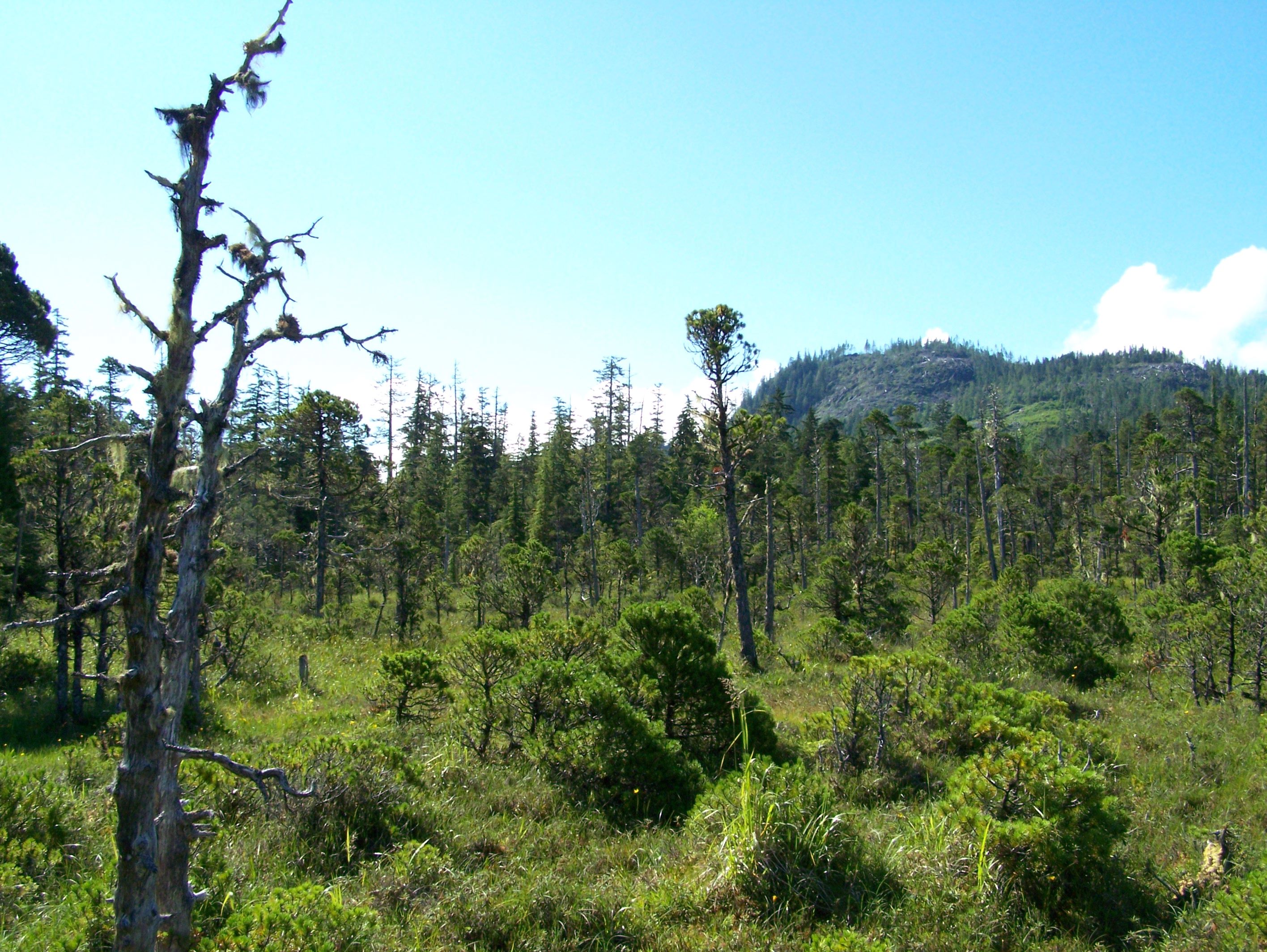 Etolin view terrain